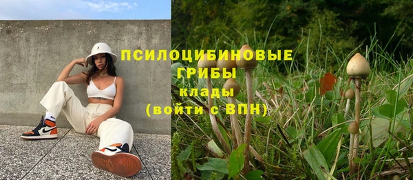 МДПВ Абинск