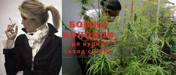 PSILOCYBIN Абдулино