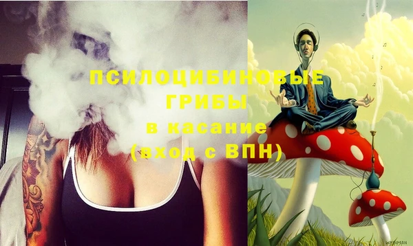 PSILOCYBIN Абдулино
