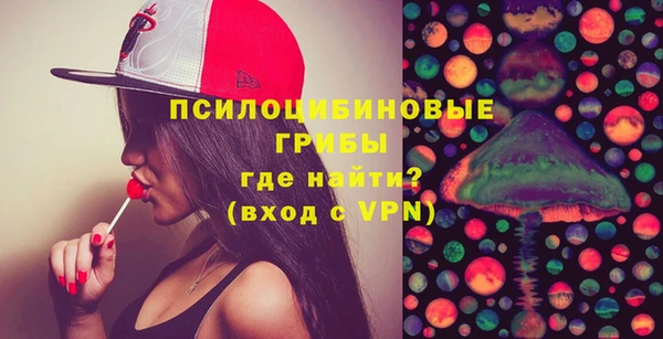 МДПВ Абинск
