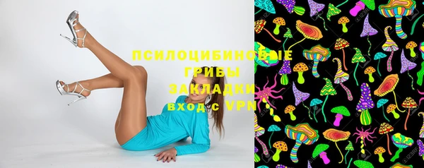 PSILOCYBIN Абдулино